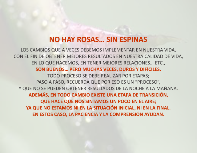 No hay rosas...Sin espinas Junio 21 de 2012